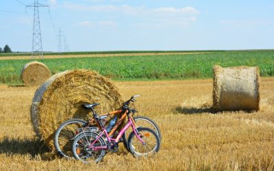 Gerpinnes à 2 roues – VTT