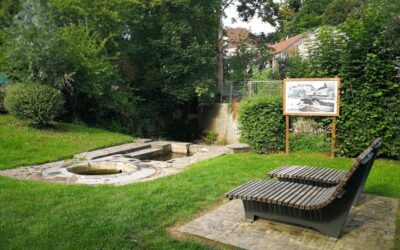 Totemus à Gerpinnes : sur les traces de Marie Linô, la sorcière de Sartia
