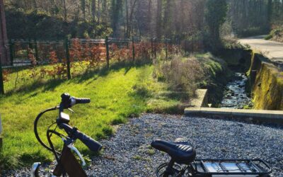À vélo au Pays d’Acoz : une chasse Totemus à découvrir à Gerpinnes